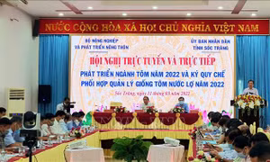 Ngành tôm đặt mục tiêu năm 2022 xuất khẩu hơn 4 tỷ USD