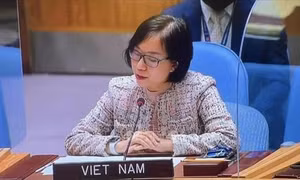 Việt Nam kêu gọi các nước khu vực Sahel đoàn kết chống khủng bố