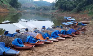 Nhức nhối nạn đánh cá bằng xung điện trên hồ Thác Bà