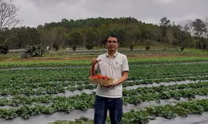 Khởi nghiệp thành công nhờ ứng dụng công nghệ cao trong sản xuất