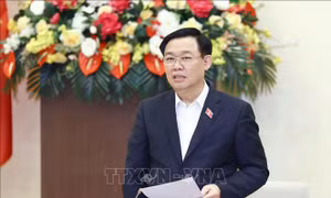 Triển khai nhiệm vụ của Đảng đoàn Quốc hội