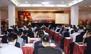 Phát triển sản xuất hồ tiêu bền vững trong giai đoạn mới