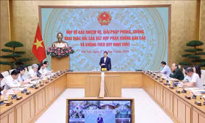 Siết chặt chống khai thác IUU, khẩn trương khắc phục khuyến nghị của EC