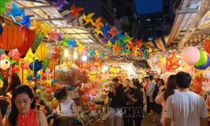 Rực rỡ phố lồng đèn Lương Nhữ Học