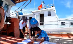 Khắc phục 'thẻ vàng' IUU: Lập danh sách các tàu cá '3 không' để phối hợp quản lý