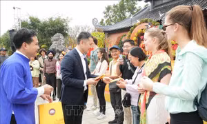 Ninh Bình chào đón những du khách đầu tiên xông đất đầu năm