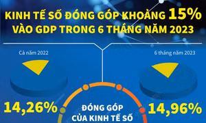 Kinh tế số đóng góp khoảng 15% vào GDP trong 6 tháng năm 2023