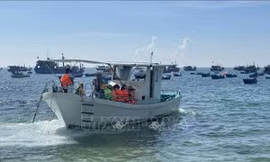 Nguy cơ mất an toàn từ các tour du lịch đường thủy tự phát 
