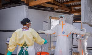 LHQ: Mỗi 30 phút lại có 1 người chết vì Ebola
