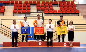 Hà Nội nhất toàn đoàn Giải Vô địch các lứa tuổi trẻ vật cổ điển, vật tự do quốc gia
