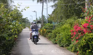 Vùng quê cách mạng Mỹ Phước trên đường đổi mới