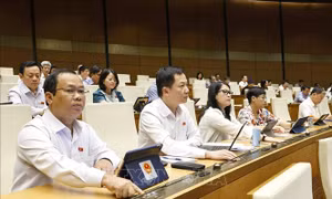 Thông qua Luật Sửa đổi, bổ sung một số điều của Luật Sử dụng năng lượng tiết kiệm và hiệu quả