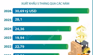 5 tháng năm 2026: Xuất khẩu nông, lâm, thủy sản vượt 30 tỷ USD