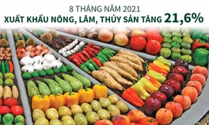 8 tháng năm 2021: Xuất khẩu nông, lâm, thủy sản tăng 21,6%