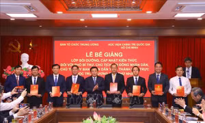 Nâng cao chất lượng, hiệu quả của công tác lãnh đạo, chỉ đạo của các thành phố trực thuộc Trung ương