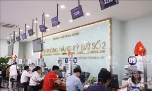 Nghị quyết 57-NQ/TW: Sổ đỏ trên VNeID cần nền tảng dữ liệu đất đai chính xác