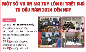 Từ đầu năm 2024 đến nay đã triệt phá gần 14.500 vụ án ma túy