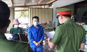Khởi tố, bắt tạm giam hai bị can để điều tra tội hủy hoại rừng ở Phú Yên