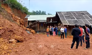 Bắc Kạn: Sạt taluy dương, hai người thương vong