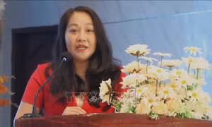Quản lý môi trường dựa trên khoa học, công nghệ và dữ liệu