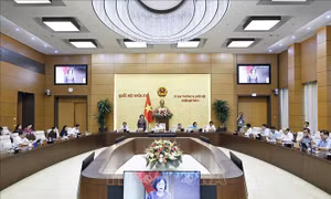 UBTV Quốc hội ý kiến về dự án Luật sửa đổi, bổ sung một số điều của Luật Ngân hàng Nhà nước Việt Nam 