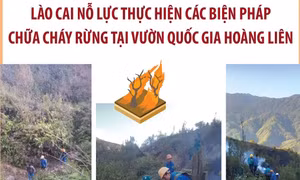 Nỗ lực thực hiện các biện pháp chữa cháy rừng tại Vườn Quốc gia Hoàng Liên