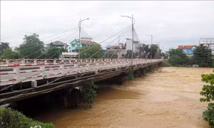 Thái Nguyên: Lũ trên sông Cầu dâng cao