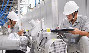 Phê duyệt Chiến lược tiêu chuẩn quốc gia giai đoạn 2026 - 2035