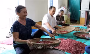 Hỗ trợ phụ nữ khởi nghiệp, làm giàu