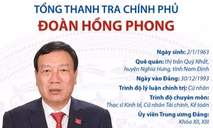 Ông Đoàn Hồng Phong giữ chức Bí thư Đảng ủy Thanh tra Chính phủ
