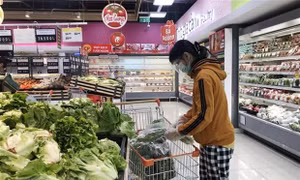 Làm rõ việc rau VietGAP 'rởm' vào siêu thị