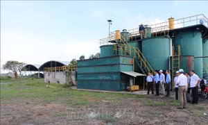 Tháo gỡ vướng mắc trong hoạt động của Nhà máy xử lý rác thải ở Cà Mau