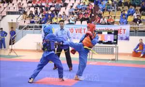 Khai mạc Giải Vô địch Vovinam toàn quốc năm 2023