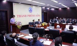 Kết nối hợp tác giữa Đà Nẵng với các đối tác Nhật Bản