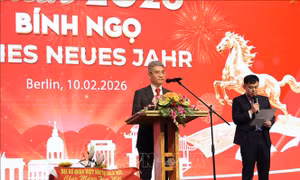 Xuân Bính Ngọ 2026: Người Việt tại Đức rộn ràng đón Tết Cộng đồng