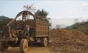 Hiệu quả từ chính sách đối với người dân tộc thiểu số đặc biệt ít người tại Kon Tum 