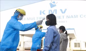 Vĩnh Phúc ghi nhận 725 ca mắc COVID-19 trong 24 giờ qua