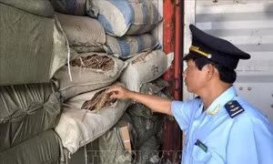 Phát hiện 5 container nghi là dược liệu nhập lậu tại cảng Tiên Sa