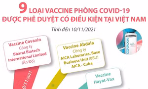 9 loại vaccine phòng COVID-19 được phê duyệt có điều kiện tại Việt Nam 
