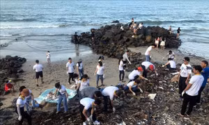 Tình nguyện viên và du khách tham gia dọn hơn 50 tấn rác trên bãi biển Vũng Tàu