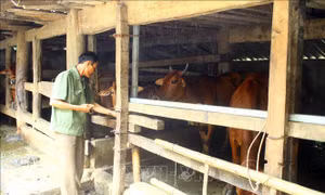 Vươn lên làm cuộc đời sau khi được đặc xá