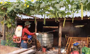 Đắk Lắk công bố dịch lở mồm long móng trên gia súc
