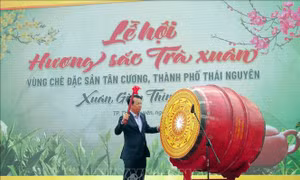 Tôn vinh cây chè qua Lễ hội 'Hương sắc Trà Xuân'