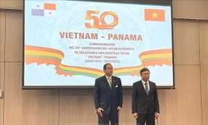 Việt Nam - Panama hướng tới quan hệ hợp tác thực chất và hiệu quả
