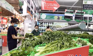 Sức mua hàng hóa tiêu dùng thiết yếu tăng trong dịp lễ Quốc khánh 