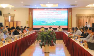 Văn hóa Óc Eo mang những giá trị nổi bật toàn cầu