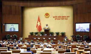 Quốc hội nghe báo cáo về tình hình thực hiện ngân sách nhà nước
