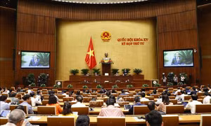 Thông cáo báo chí số 14, Kỳ họp thứ 4, Quốc hội khóa XV