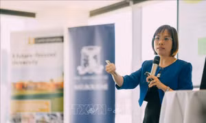 Chuyên gia khuyến nghị 4 ưu tiên trọng tâm để Việt Nam tăng trưởng nhanh, bền vững 