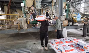 Giữ nhịp phát triển kinh tế công nghiệp sau thiên tai - Bài 1: Vượt qua bão lũ